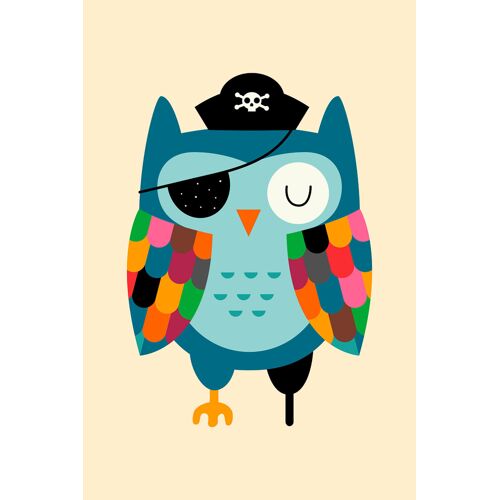 Tableau capitaine hibou imprimé sur toile 40x60 cm