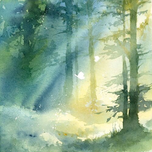 Cadre Déco Bosquet Ombragé Imprimé Sur Toile 50x50 Cm