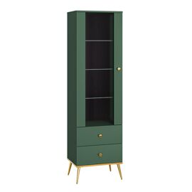 Vitrine 1 porte 2 tiroirs stratifiés vert