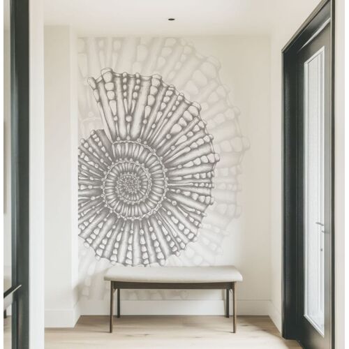 Papier peint panoramique Coquillage, Gris 225 x 250cm