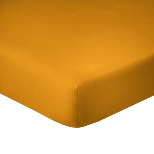 Drap Housse Coton Safran 180x200 Cm