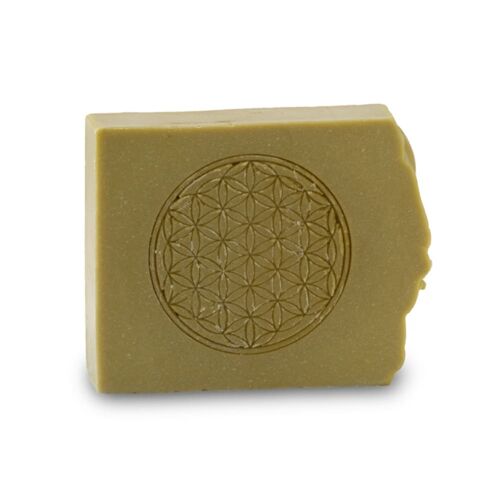 Shampoing Bio Fleur De Vie Vitalité Et Soin Naturel 