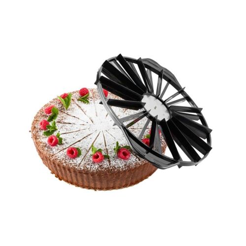 Diviseur de gâteau Pvc et Synthetique Noir 1x27x27 cm