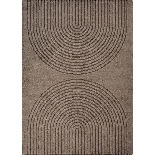 Tapis Moderne Salon Scandinave, Marron, 240 X 340 Cm