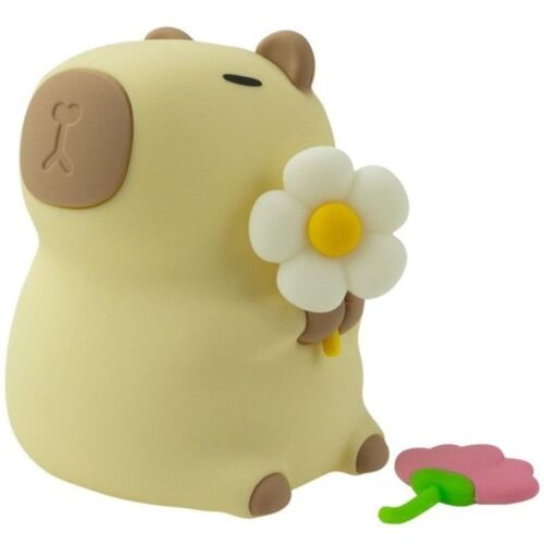 Veilleuse Rechargeable