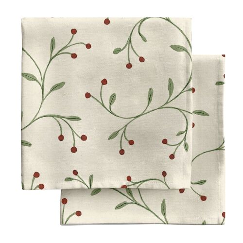 Serviettes 100 % Coton (X2) Multicolore 43x43 Cm