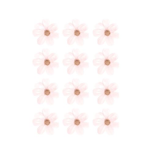 Stickers fleurs de marguerite rose
