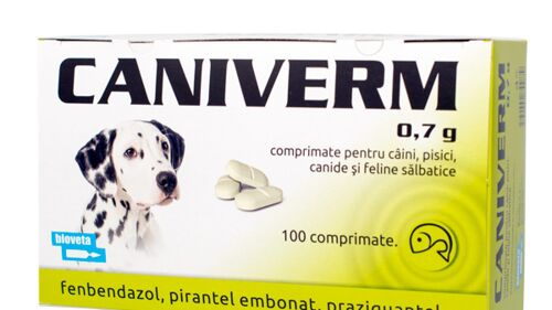 Drontal (Équivalent) 100 Comprimés Pour Chiens Et Chats Composition Identique À Drontal