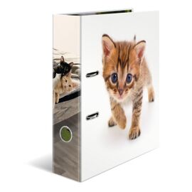 Herma Classeur À Motif "Animaux Préférés" Chat, A4