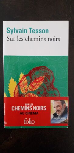 Sur Les Chemins Noirs - Sylvain Tesson