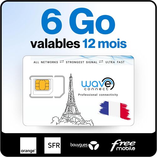 MEVRONISSHOP-SIM Données France 4 Réseaux, 6 Go valables 12 Mois, Bouygues, Free, Orange, SFR, 4G, 5G, Prépayée, Active dès La Première Utilisation, UE, IoT, Sécurité