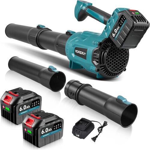 MEVRONISSHOP-Souffleur de Feuilles sans Fil, 400 km/h, Motor sans Balais 25000 TR/Min, 6 Vitesses, 2X Batteries et Chargeur, Souffleur sur Batterie pour Jardin, Feuilles, Poussière et Neige