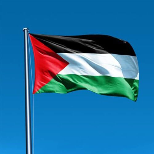 Mevronisshop-Drapeau De La Palestine 150 X 90 Cm Avec 2 ?Illets Métalliques Grand Drapeau National Palestinien Flag Palestine Fanion Tissue Parfait Pour Les Festivals, Manif, Decoration Extérieur Du