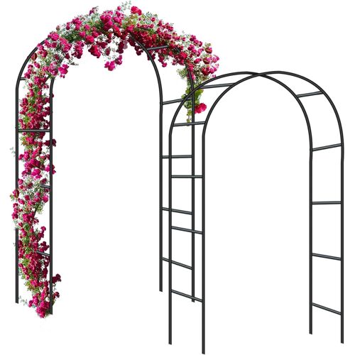 Mevronisshop-2pcs Arche De Jardin Pour Rosiers Treillis En Acier Revêtu Par Pulvérisation Décoration De Jardin Et Décoration Résistant Aux Intempéries 240 X 140 X 38 Cm - Noir