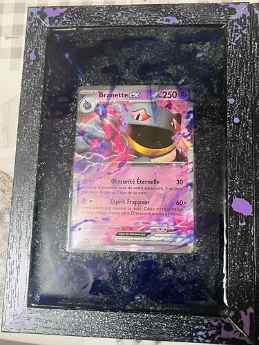 Cadre Pokémon : Branette Ex - Résine Epoxy - Fait Main