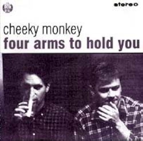 Four Arms To Hold You [12 Inch Analog]