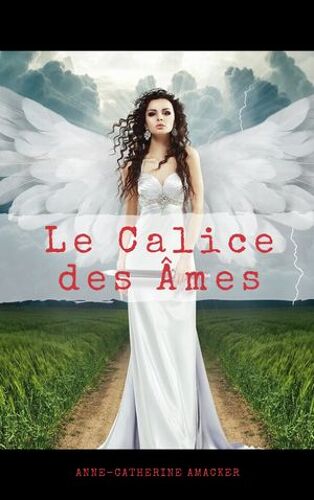 Le Calice Des Âmes