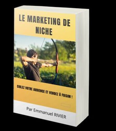 Le Marketing De Niche