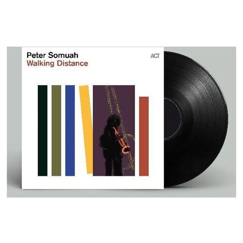 Walking Distance - Vinyle