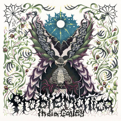 India Gailey - Problematica