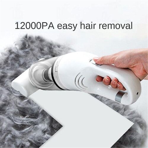 Aspirateur pour poils d'animaux, aspirateur sans fil puissant et portable pour la maison et la voiture avec filtre réutilisable et rechargeable