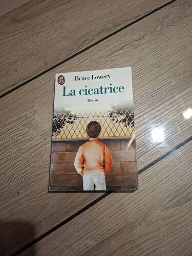 La Cicatrice Bruce Lowery