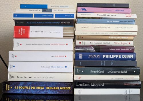 Gros Lot De 25 Livres Divers Brochés Grand Format (Pas Poche) - Romans Contemporains Dont Bernard Werber, Jean‑Paul Dubois, Philippe Djian, Clavel, John Irving, Michel Ragon, Etc
