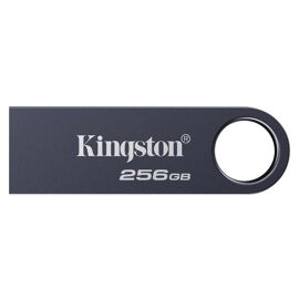 Kingston DataTraveler SE9 G3 - Clé USB - 256 Go - USB 3.2 Gen 1 - Nickel foncé