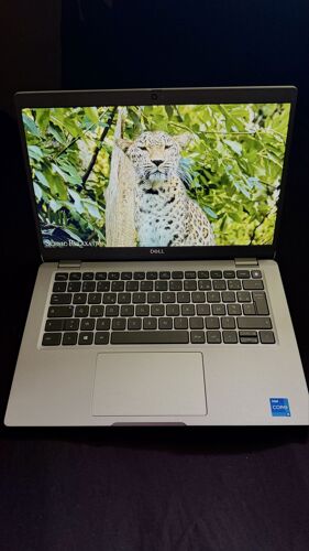 DELL Lattitude 5320 gen 11 Intel Core i5-1135G7, SSD NVME 512GO, RAM 16GO pc portable 13,3 rétro-éclairé