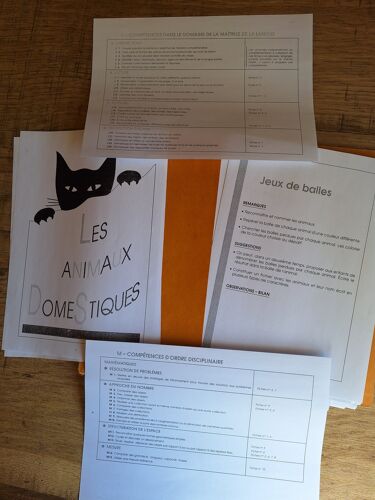 Fichier Maternelle Croc'Fiches Tome1