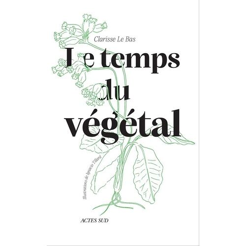 Le Temps Du Végétal