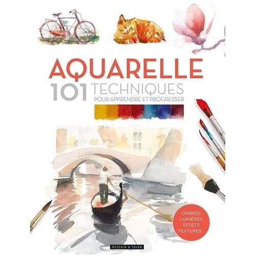 Aquarelle - 101 Techniques Pour Apprendre Et Progresser