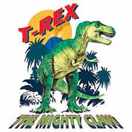 T-Shirt Enfant Manches Courtes Dinosaure T-Rex - 348