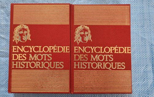 Lot 2 Encyclopédies Des Mots Historiques