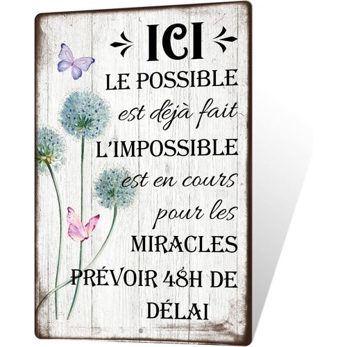KALANKA-Plaque Métallique ""Ici le Possible est déjà fait, l¿Impossible est en cours"" avec Design Floral et Papillons - Décoration Murale pour Bureau, Maison, Atelier, Cadeau Inspirant, 30x20 cm