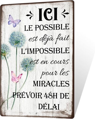 KALANKA-Plaque Métallique ""Ici le Possible est déjà fait, l¿Impossible est en cours"" avec Design Floral et Papillons - Décoration Murale pour Bureau, Maison, Atelier, Cadeau Inspirant, 30x20 cm