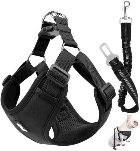 Kalanka-Ensemble De Harnais Et Laisse De Sécurité De Voiture, Harnais Voiture Chien En Maille Douce Et Respirante, 53 Cm-74 Cm Ceinture De Sécurité Élastique Réglable À Fixer Sur Le Siège De Voiture