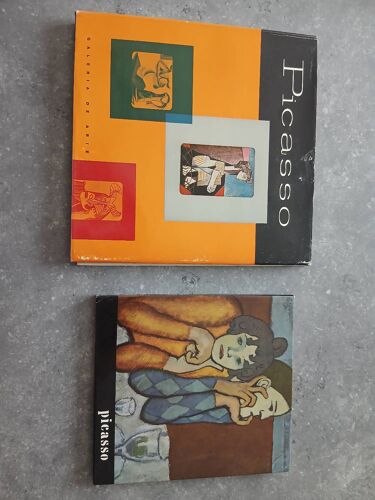 Lot 2 Livres D'Art Picasso - Éditions Vintage & Rares