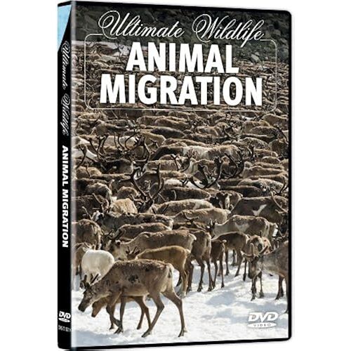 Ultimate Wildlife: Animal Migration [Dvd] [Import]