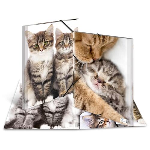 Herma 7143 Fichier Polypropylène (Pp) Multicolore A3