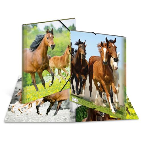 Herma 7145 Fichier Polypropylène (Pp) Multicolore A3