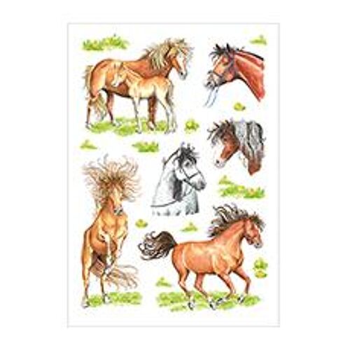 Herma 3307 Étiquette Auto-Collante 3 Pièces