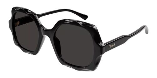 Chloé Ch0226s 005 53