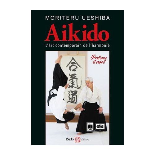 Aïkido L'art Martial Contemporain De L'harmonie
