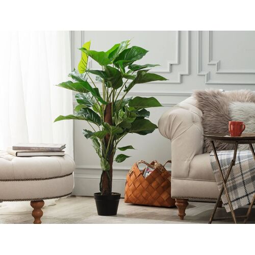 Plante en pot branchée