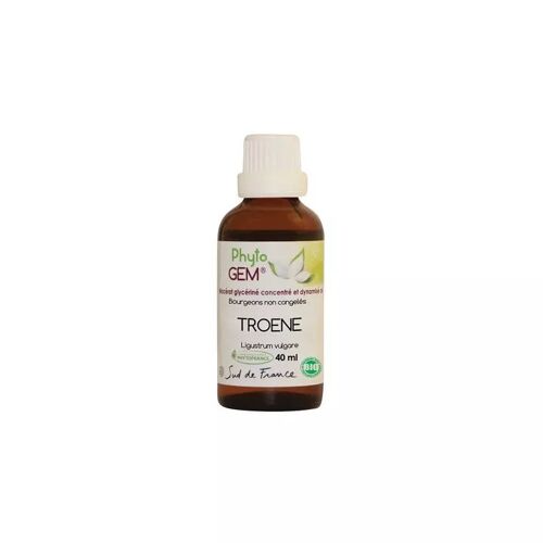 Phyto'gem Troene Macérat Glycériné Bourgeon Bio 40ml 