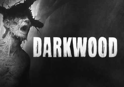 Darkwood Deluxe Edition (PC) Steam Key - GLOBAL