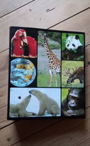 L'Univers Fascinant Des Animaux