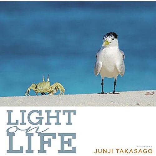 Light On Life