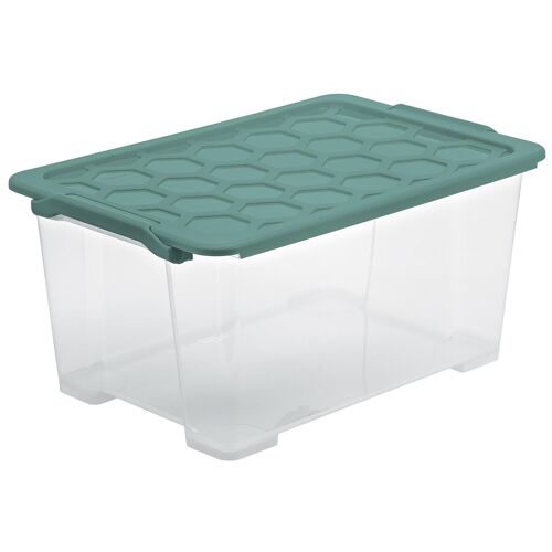 Rotho 1008105092 Boîte de rangement Rectangulaire Vert et Transparent